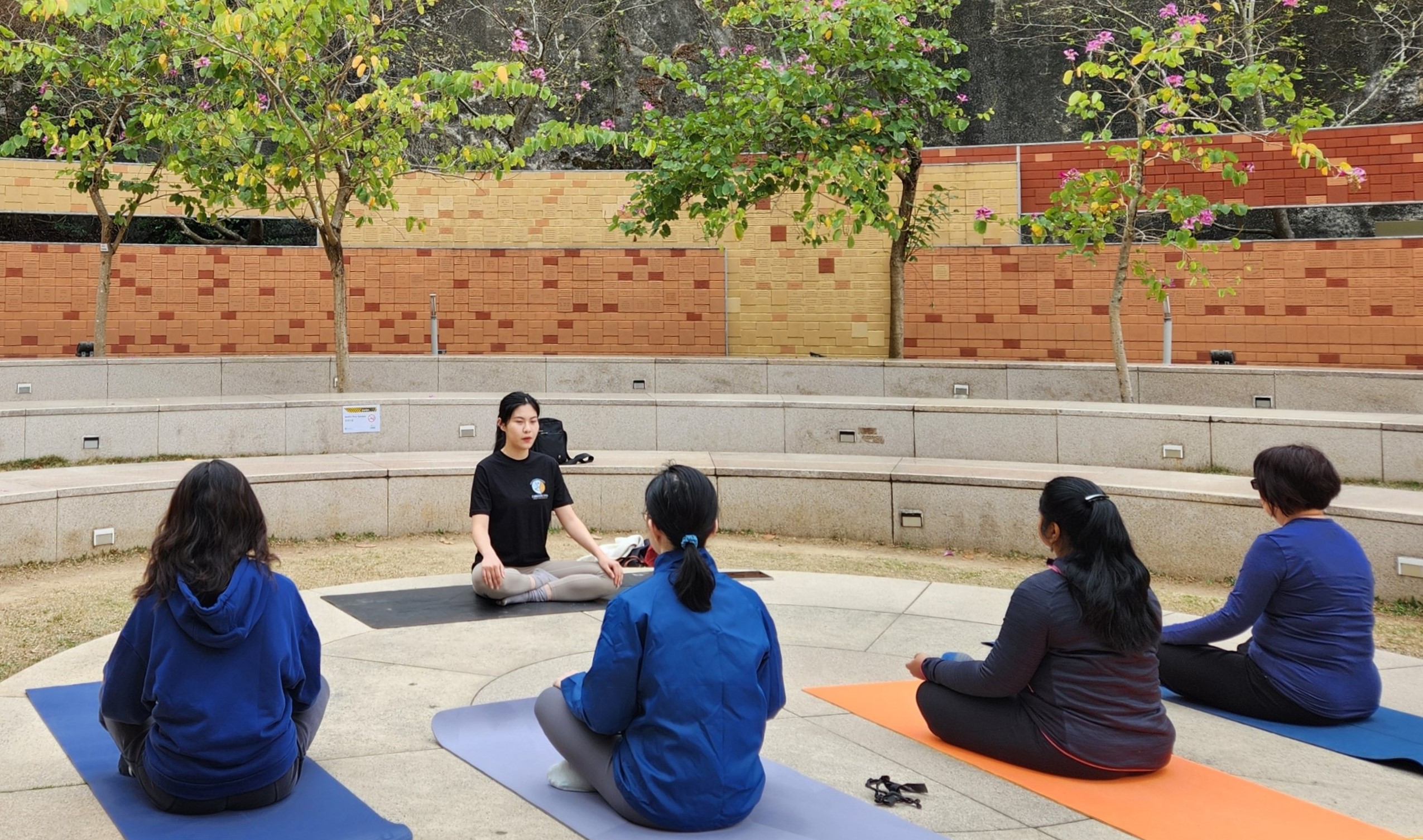 A group yoga workshop in a garden
